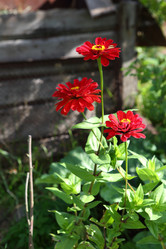 Similar image 22046288