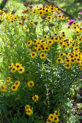 Similar image 22046289