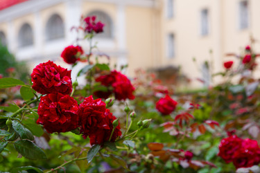 Similar image 22046291