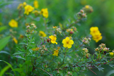 Similar image 22046292