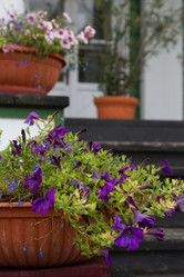 Similar image 22046294