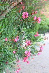 Similar image 22046296