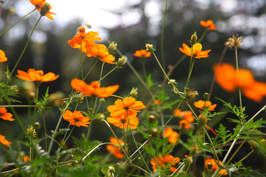 Similar image 22046298