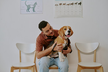 Similar image 22036200