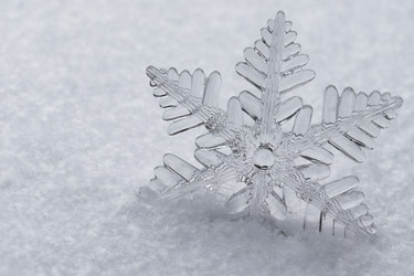 Similar image 22051849