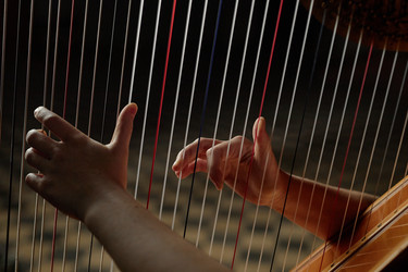 Similar image 22033565