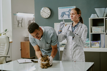 Similar image 22036238