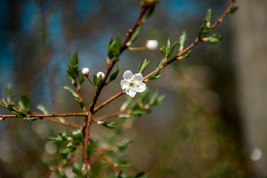 Similar image 22027059