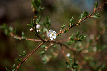 Similar image 22027060