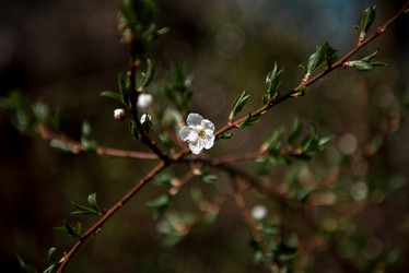 Similar image 22027061