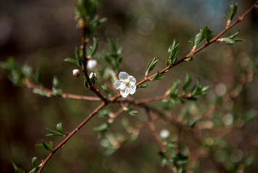 Similar image 22027062