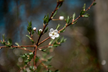 Similar image 22027063