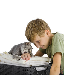 Similar image 22027137