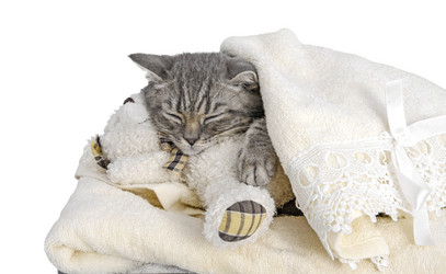 Similar image 22027140