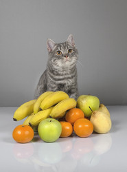 Similar image 22027144