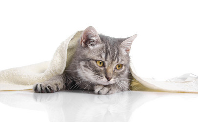 Similar image 22027146