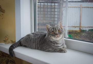 Similar image 22027148