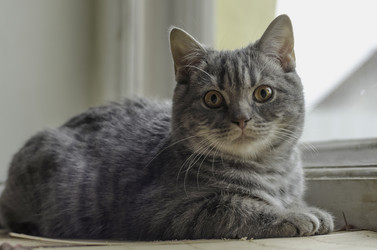 Similar image 22027149