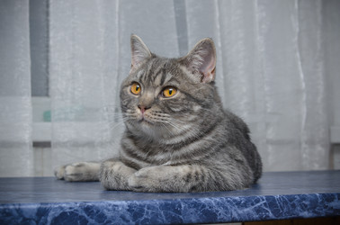 Similar image 22027150