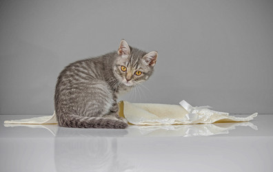 Similar image 22027152