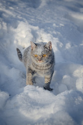 Similar image 22027153