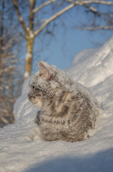 Similar image 22027154