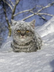 Similar image 22027155