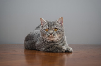 Similar image 22027158