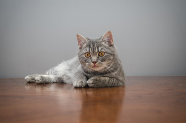 Similar image 22027159