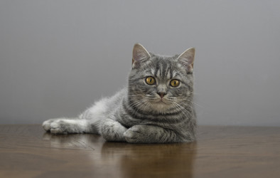 Similar image 22027160