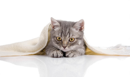 Similar image 22027161