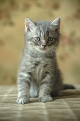 Similar image 22027163