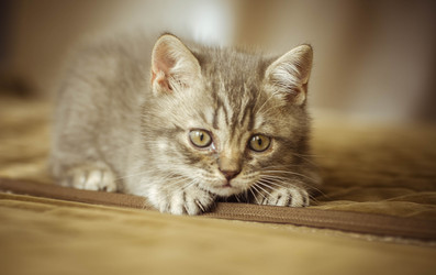 Similar image 22027164