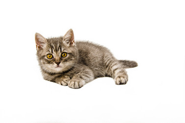 Similar image 22027166