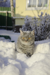 Similar image 22027167