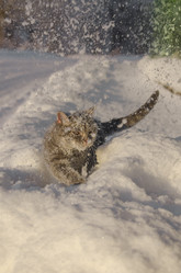 Similar image 22027169