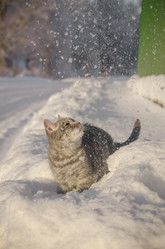 Similar image 22027170