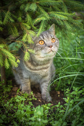 Similar image 22027171