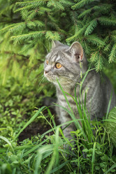 Similar image 22027172