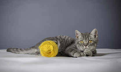 Similar image 22027174