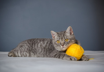 Similar image 22027175