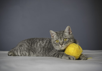 Similar image 22027176