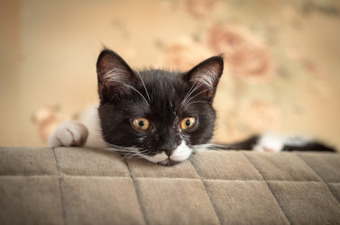 Similar image 22027177