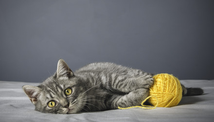 Similar image 22027178