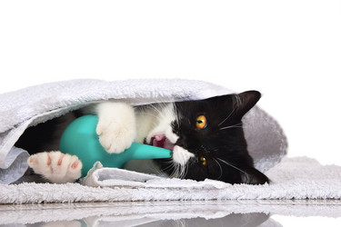 Similar image 22027179