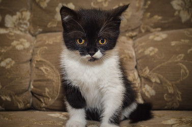 Similar image 22027180