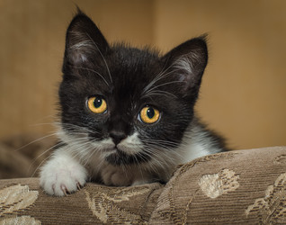 Similar image 22027181