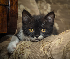 Similar image 22027182