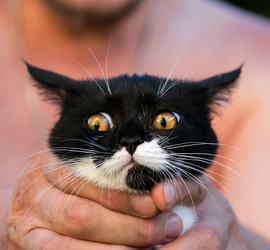 Similar image 22027184