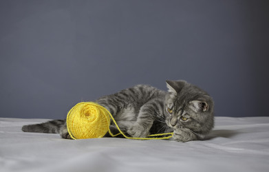 Similar image 22027185